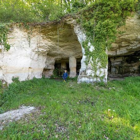 Vila Logis De Bois Roche Saint-Bonnet-sur-Gironde Exteriér fotografie