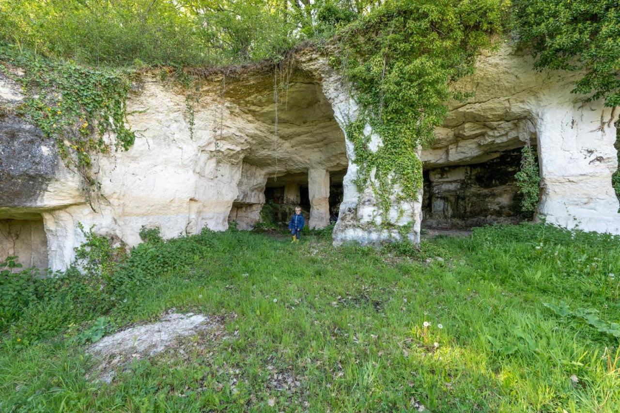 Vila Logis De Bois Roche Saint-Bonnet-sur-Gironde Exteriér fotografie