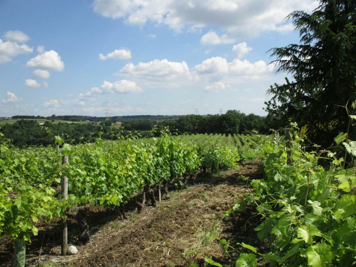Vila Logis De Bois Roche Saint-Bonnet-sur-Gironde Exteriér fotografie