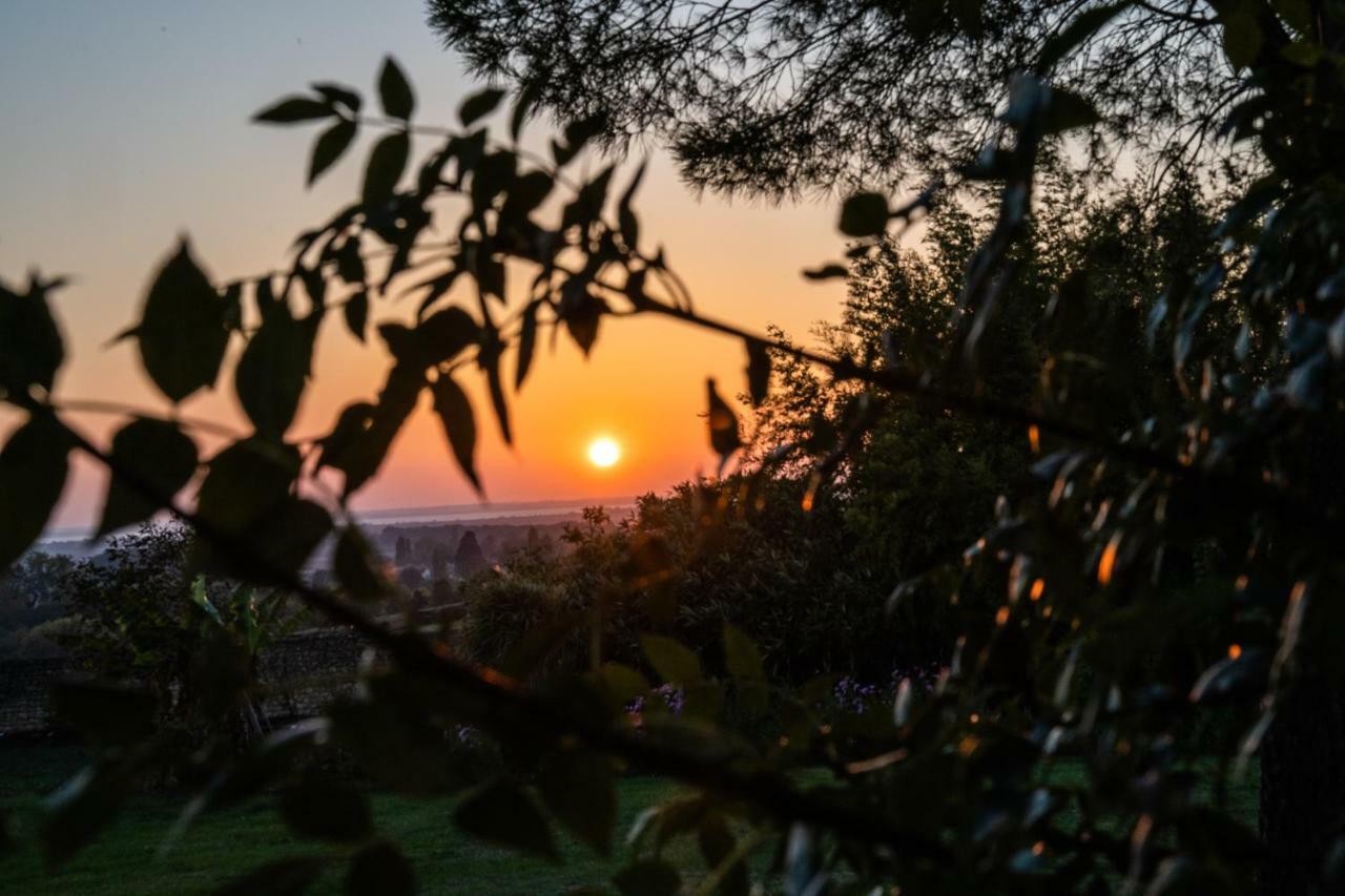 Vila Logis De Bois Roche Saint-Bonnet-sur-Gironde Exteriér fotografie