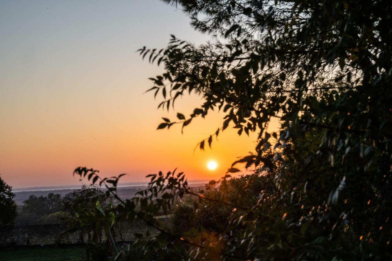 Vila Logis De Bois Roche Saint-Bonnet-sur-Gironde Exteriér fotografie