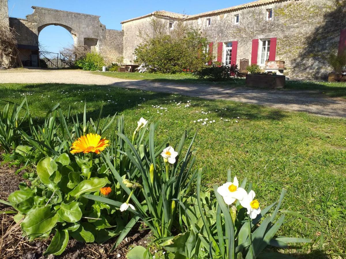 Vila Logis De Bois Roche Saint-Bonnet-sur-Gironde Exteriér fotografie