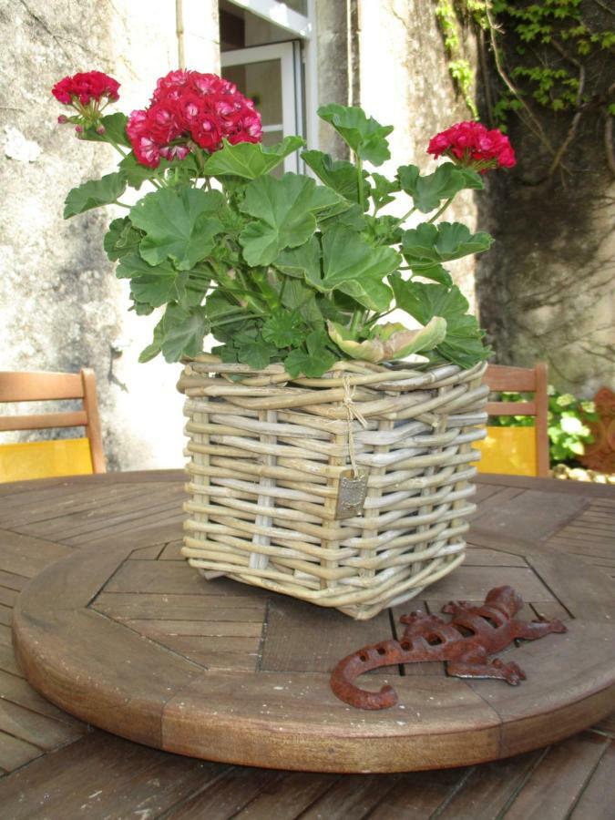 Vila Logis De Bois Roche Saint-Bonnet-sur-Gironde Exteriér fotografie