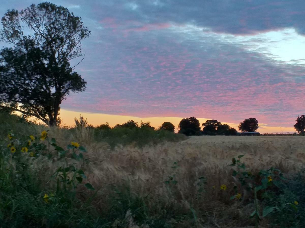 Vila Logis De Bois Roche Saint-Bonnet-sur-Gironde Exteriér fotografie
