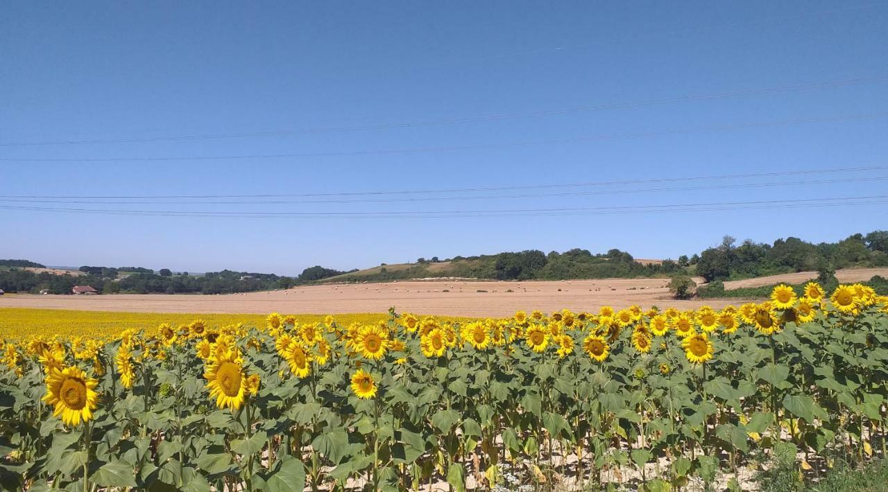 Vila Logis De Bois Roche Saint-Bonnet-sur-Gironde Exteriér fotografie