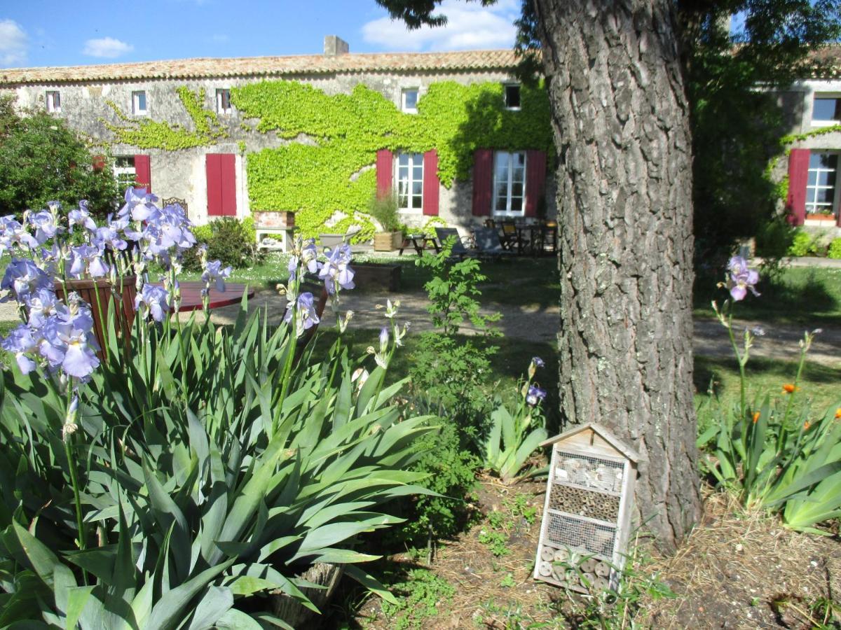 Vila Logis De Bois Roche Saint-Bonnet-sur-Gironde Exteriér fotografie